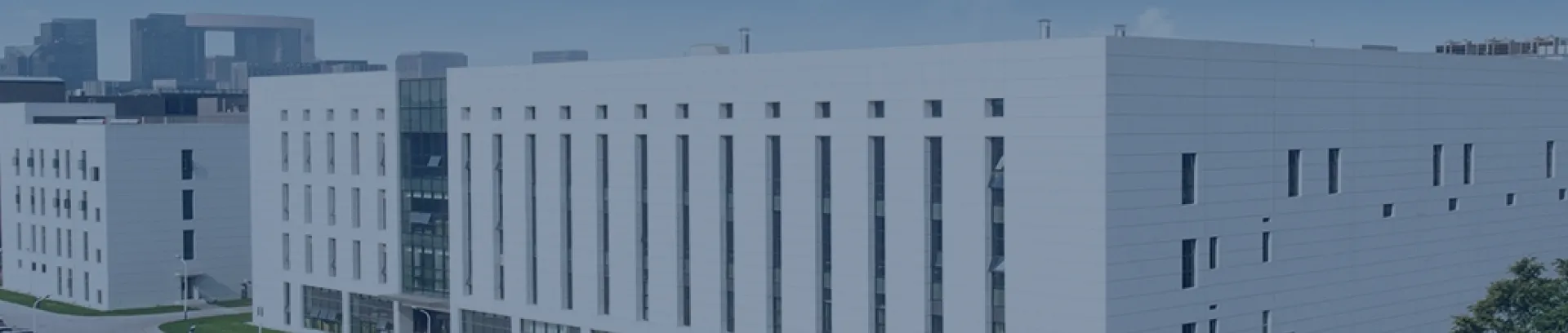 Company Profile