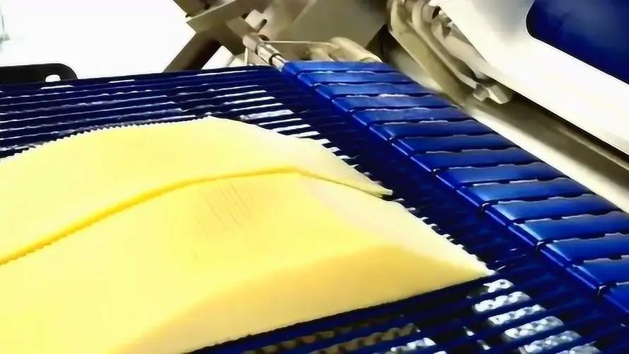 Global Cheese Manufacturing Equipment Market